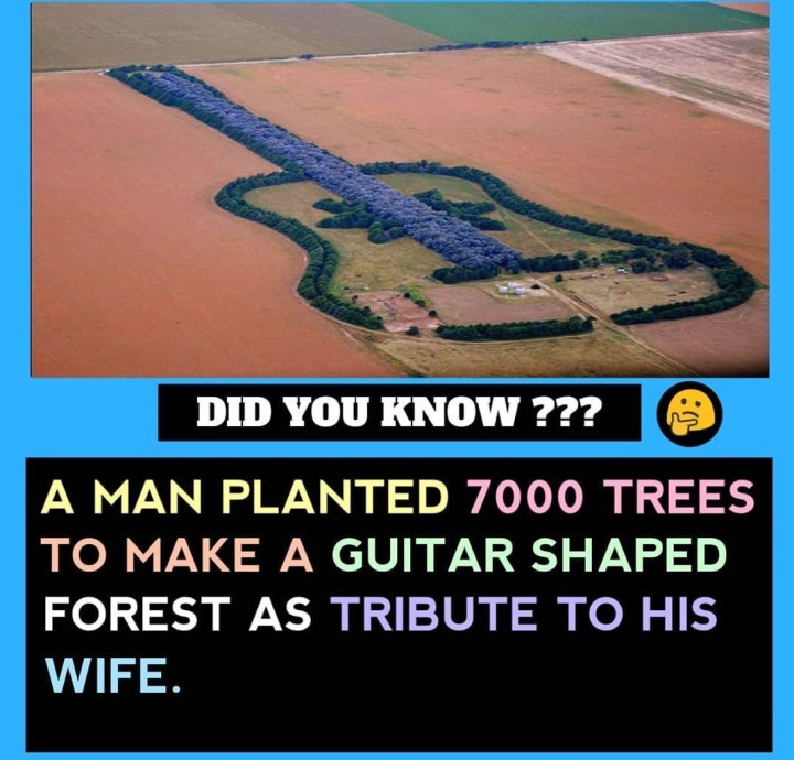 Creative Husband