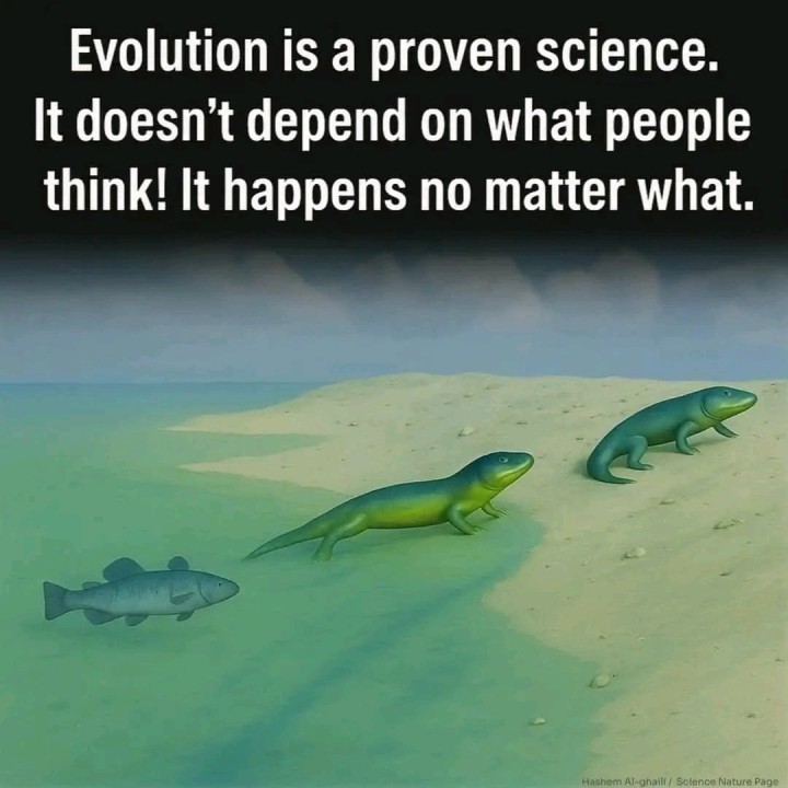 Evolution is not a belief. Evolution is a fact.