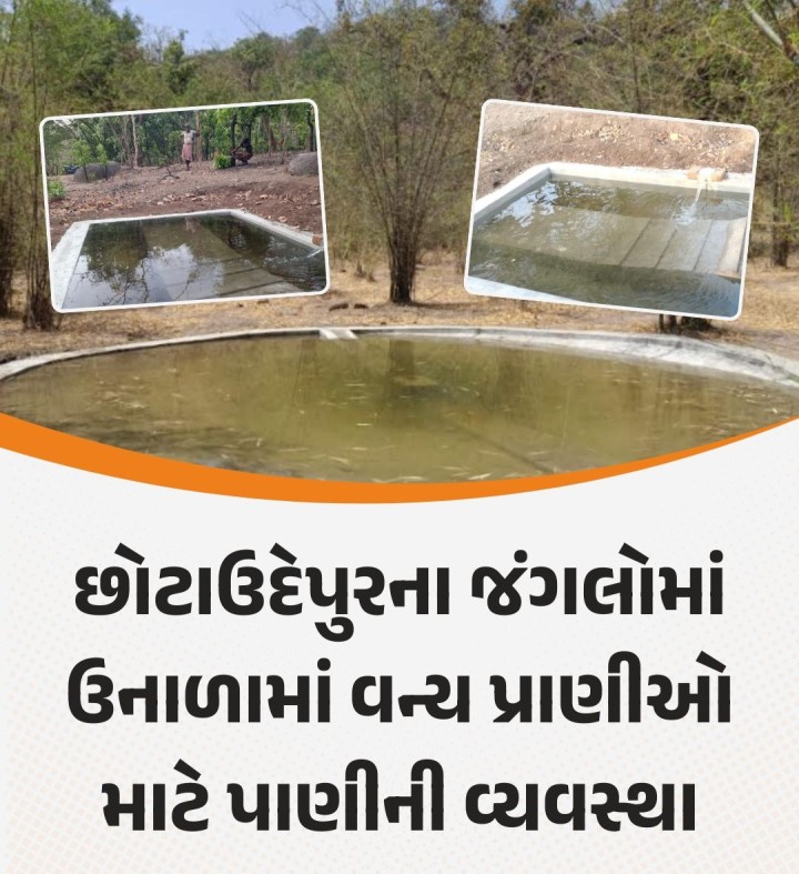 વન વિભાગ દ્વારા જંગલના જુદા જુદા વિસ્તારોમાં પાણીની કુંડી ભરી પ્રાણીઓ માટે પાણીની વ્યવસ્થા કરવામાં આવી છોટાઉદેપુર વન વિભાગ દ્વારા ઉનાળા સીઝન દરમિયાન વન્ય પ્રાણીઓ માટે પીવાના પાણીની વ્યવસ્થા કરવામાં આવી છે માણસની જેમ પશુઓ, પ્રાણીઓ અને વન્ય જીવોને પાણી મળી રહે જેથી જુદા જુદા વિસ્તારમાં પાણીની કુંડી ભરી જંગલ વિસ્તારમાં જ પાણી મળી રહે તેના માટે પાણી ભરવામાં આવી રહ્યું છે.