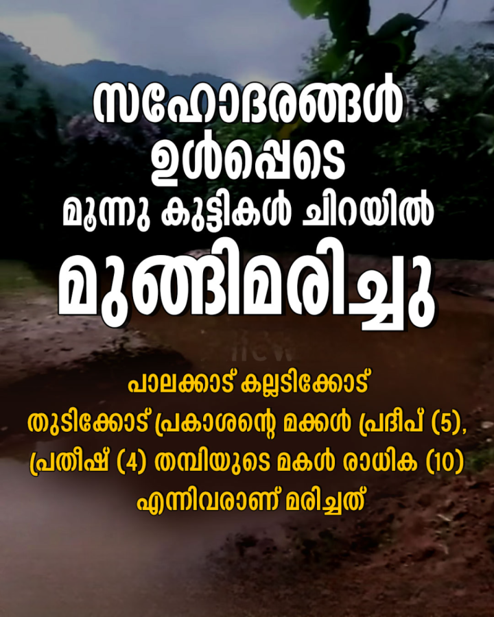 പാലക്കാട് കല്ലടിക്കോട് മൂന്നു കുട്ടികള്‍ ചിറയില്‍ മുങ്ങിമരിച്ചു