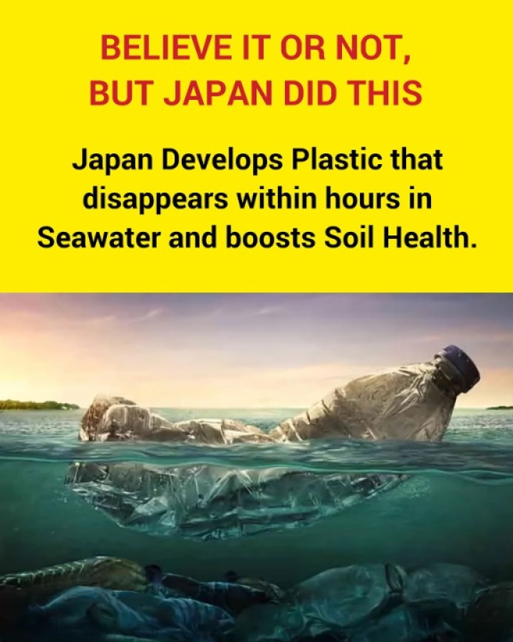 Japanese scientists have created a groundbreaking biodegradable plastic that breaks down in seawater within just a few hours. Remarkably, it also decomposes in soil, where it contributes nutrients to the earth.