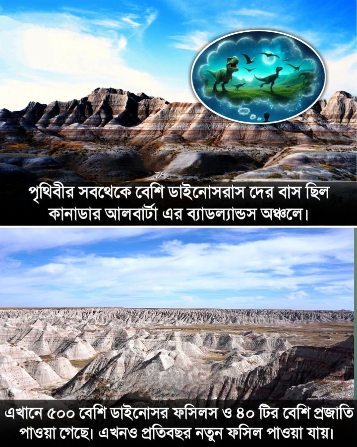 বিশ্বের সব থেকে বেশি ডাইনোসর কোথায় ছিল জানেন?