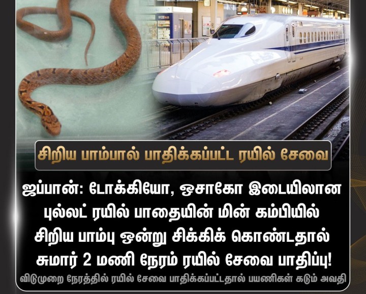சிறிய பாம்பால் பாதிக்கப்பட்ட புல்லட் ரயில் சேவை!