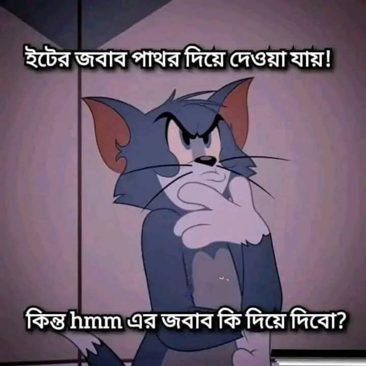হুমম এর জবাব কেমন করে দেব?