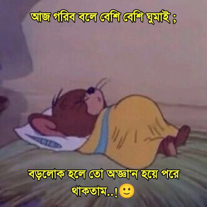 যদি বড়লোক হতাম...