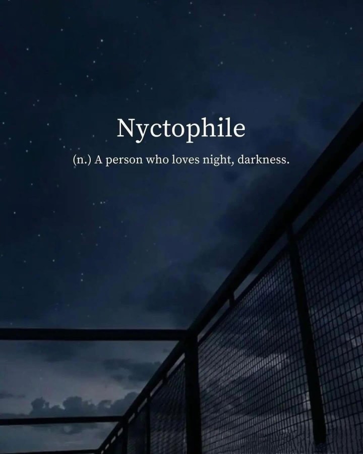 Are you a nyctophile?
