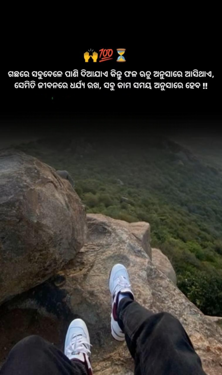 ଗଛ ରେ ସବୁ ବେଳେ ପାଣି ଦିୟା ଯାଏ