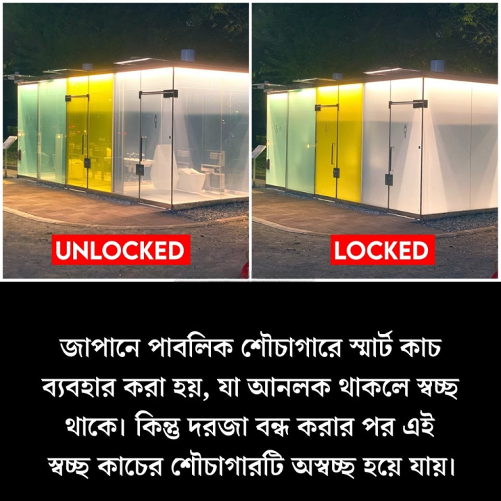 জাপানের অবিশ্বাস্য আবিষ্কার।