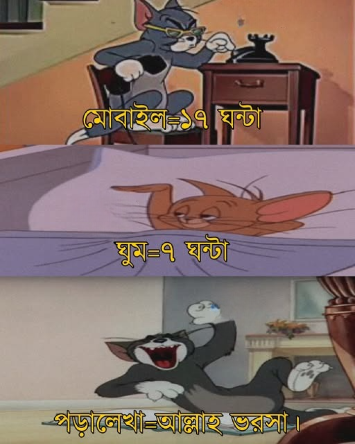 পড়াশোনা ভরসা ওপরওয়ালা।