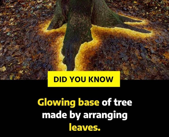 Did you know?