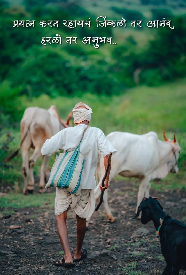 प्रयत्न करत राहायचे