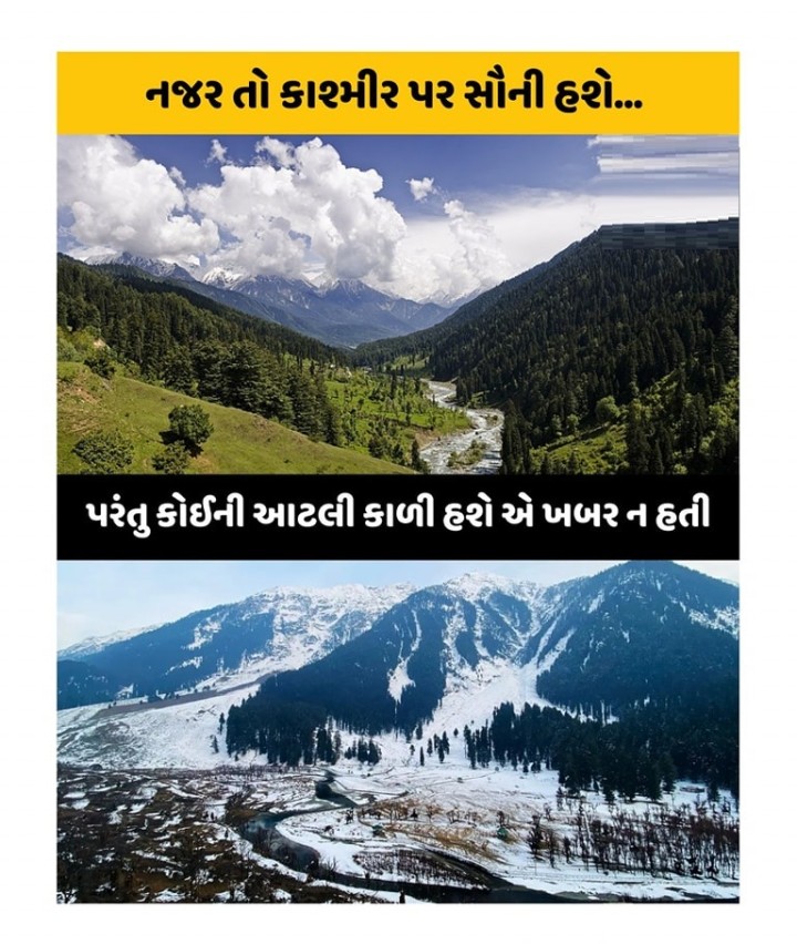 પોસ્ટ શેર કરવાનું ભૂલતા નહીં!