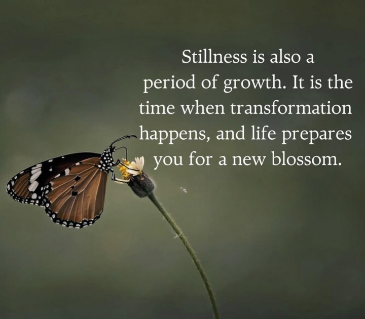 Stillness is also a period of growth