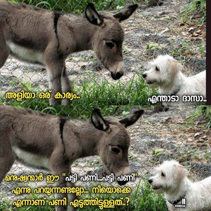 ചുമ്മാ ഓരോന്ന് അങ്ങ് അടിച്ച് ഇറക്കുവാന്നേ..