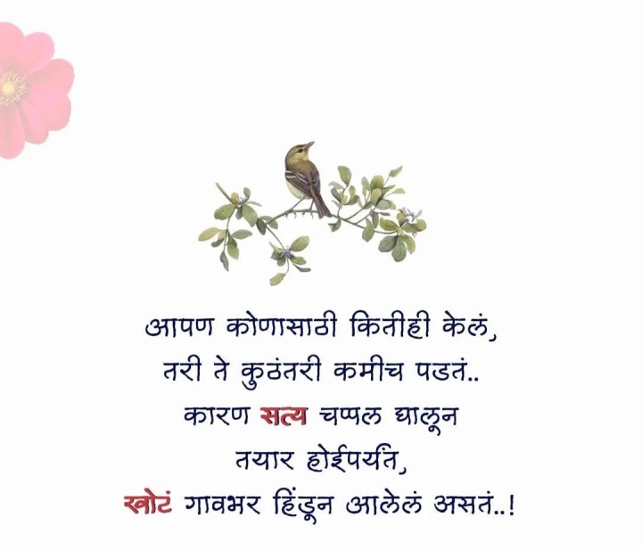 खरं आणि खोट