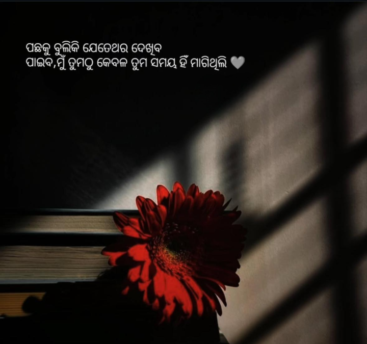 ମୁଁ କେବଳ ତୁମକୁ  ସମୟ ମାଗି ଥିଲି