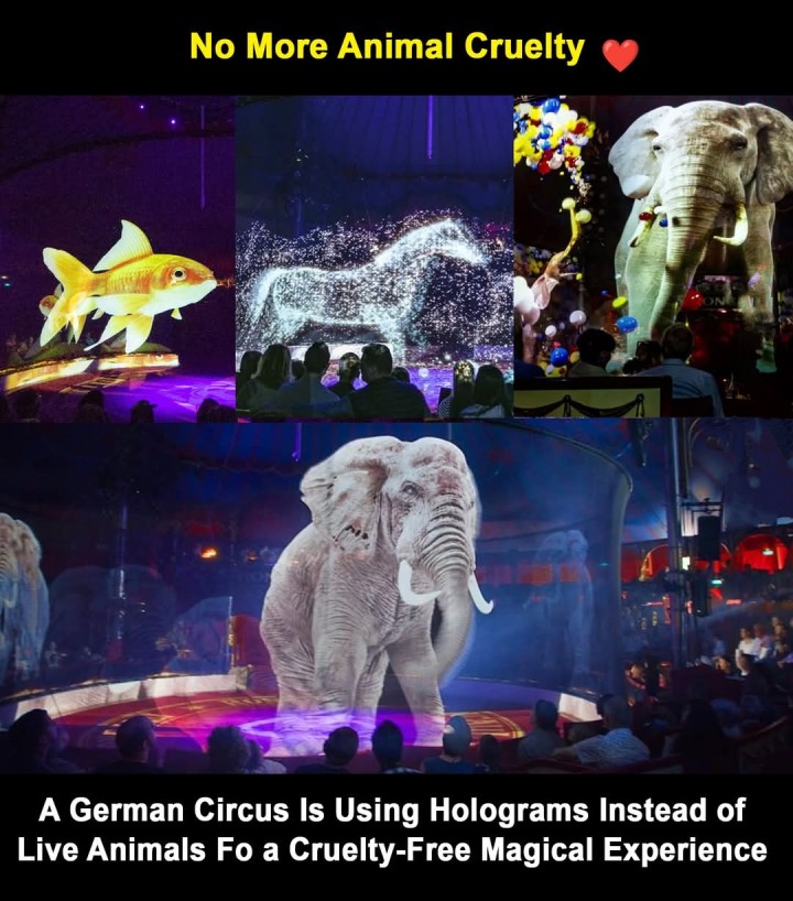 Watching Real Animals In a Circus Will Be History Soon!