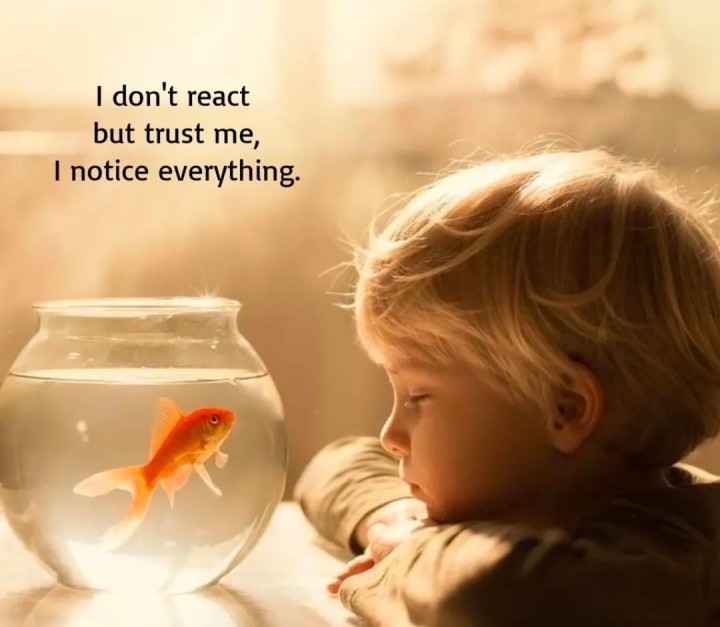 I notice everything
