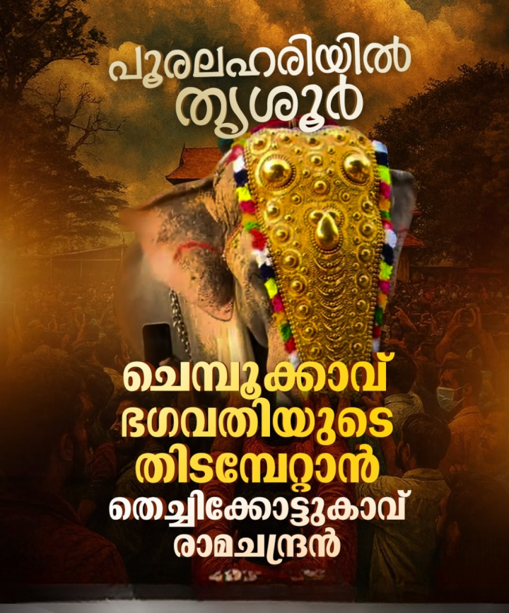 പൂരലഹരിയില്‍ തൃശൂര്‍