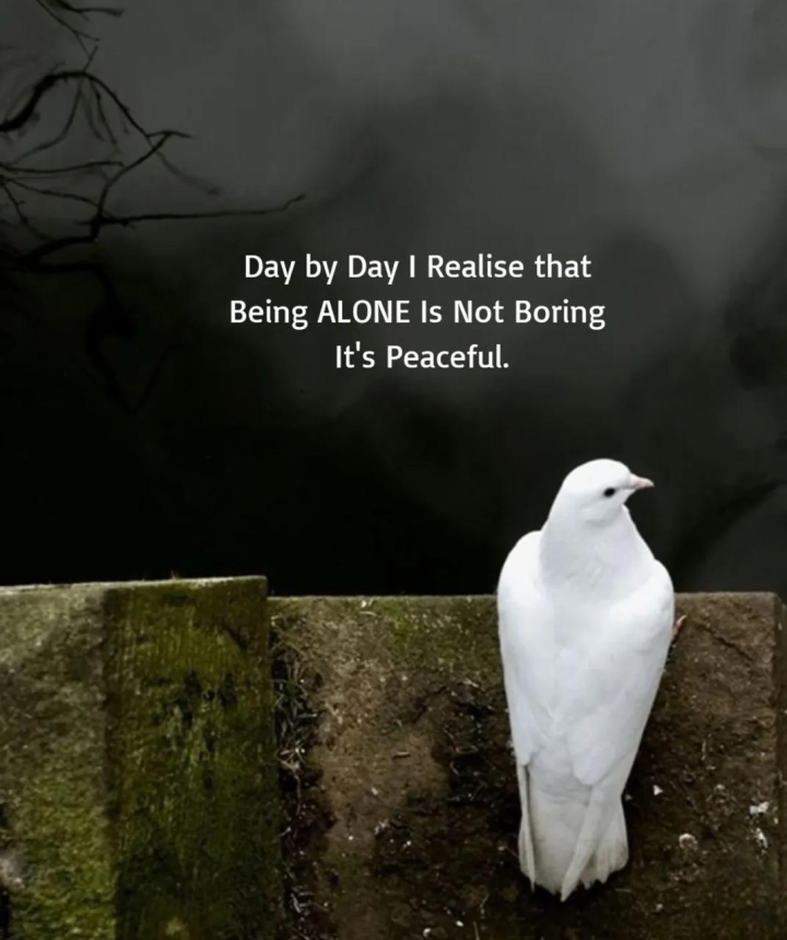 Day by  day i realise that