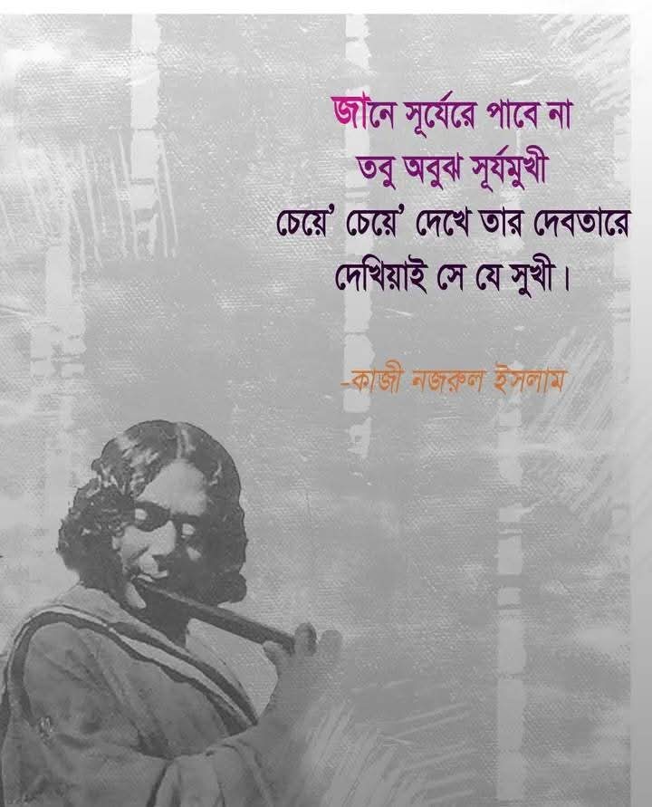 সূর্যমুখী কি জানে?