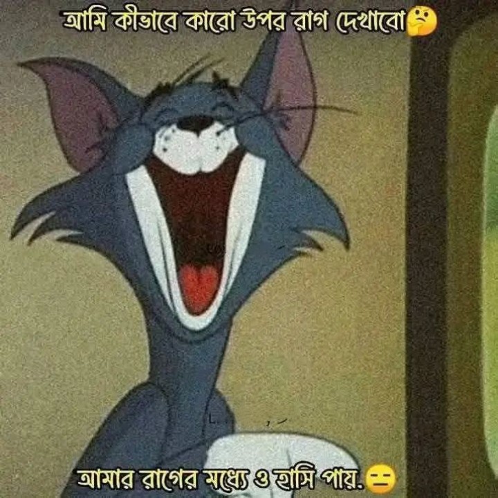 রাগ করেলও হাসি?