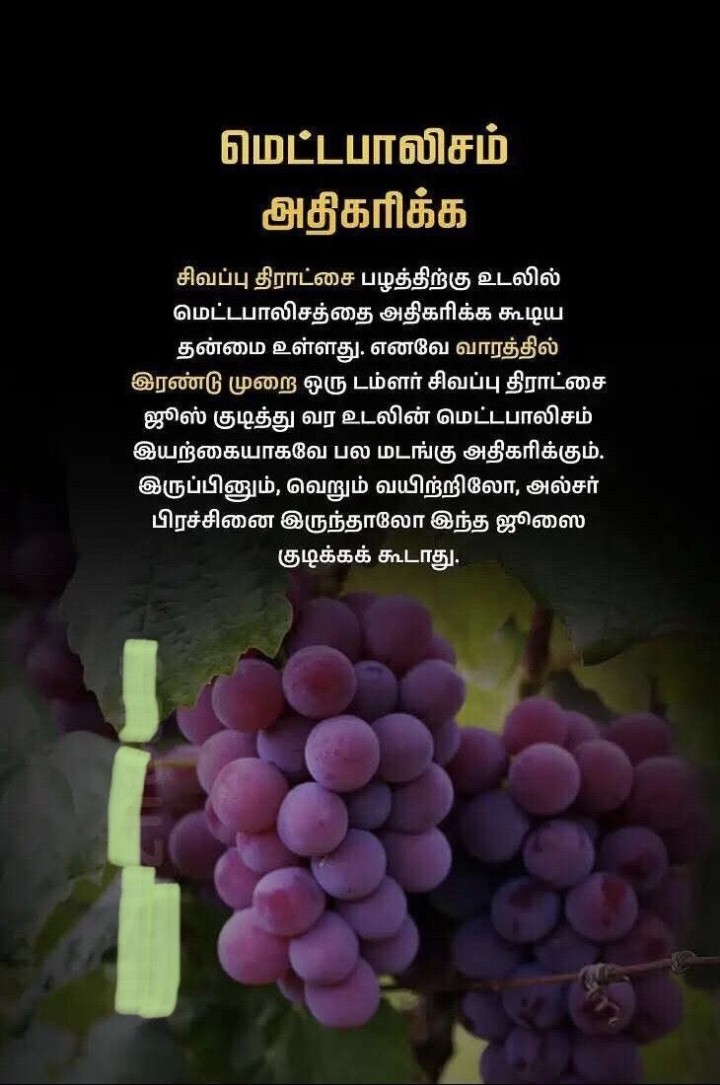 மெட்டபாலிசம்