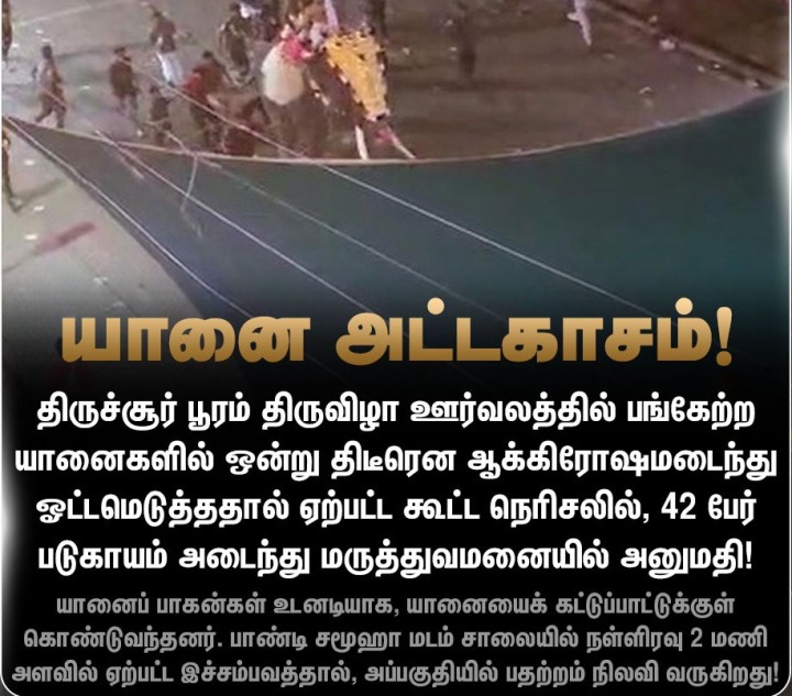 திருச்சூர் பூரம் திருவிழா ஊர்வலத்தில் யானை அட்டகாசம் - 42 பேர் படுகாயம்!