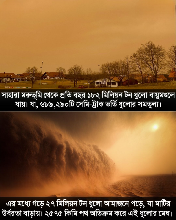 সাহারা মরুভূমি থেকে প্রতি বছর প্রায় ১৮২ মিলিয়ন টন ধুলো বায়ুমণ্ডলে মিশে যায় ।