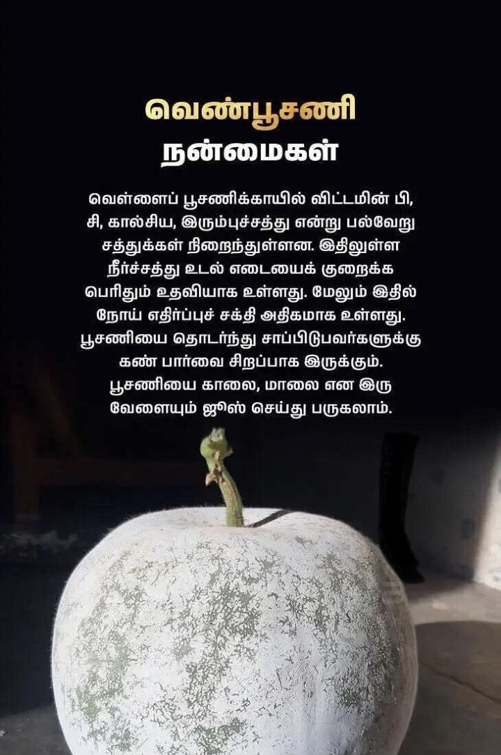 வெண்பூசணி நன்மைகள்