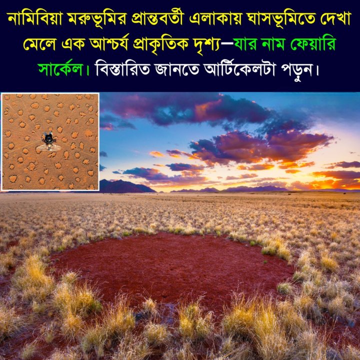 নামিবিয়ার ‘ফেয়ারি সার্কেল’ – মরুভূমির বুকে এক প্রকৃতির রহস্য।