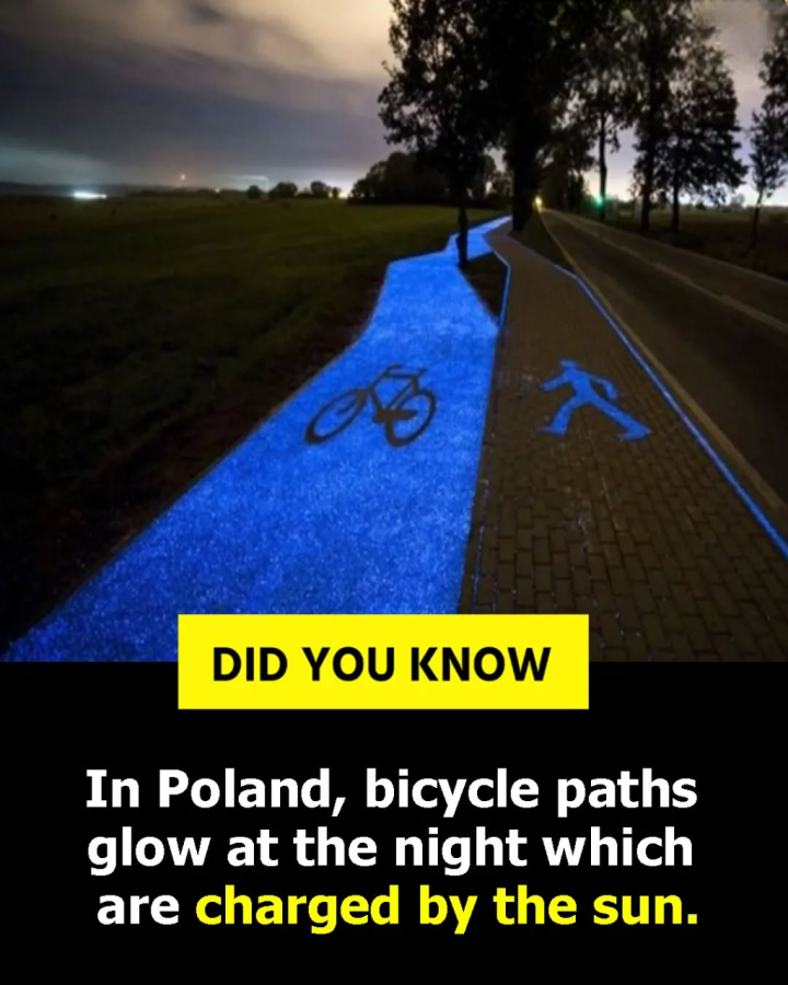 Did you know: The bicycle paths in Poland.