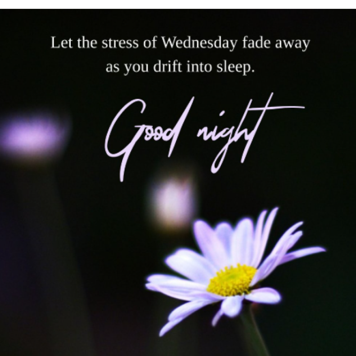 Good Night
