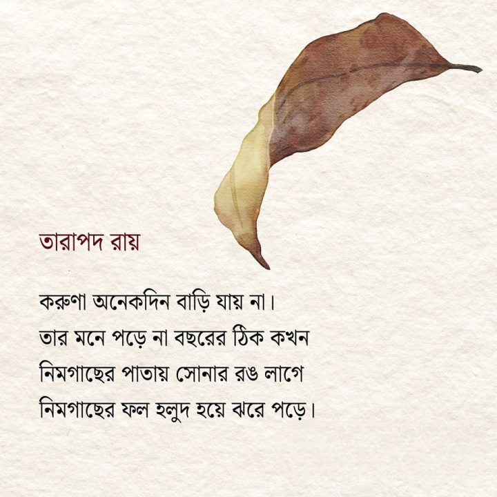 নিমগাছের পাতায় সোনার রঙ লাগে।