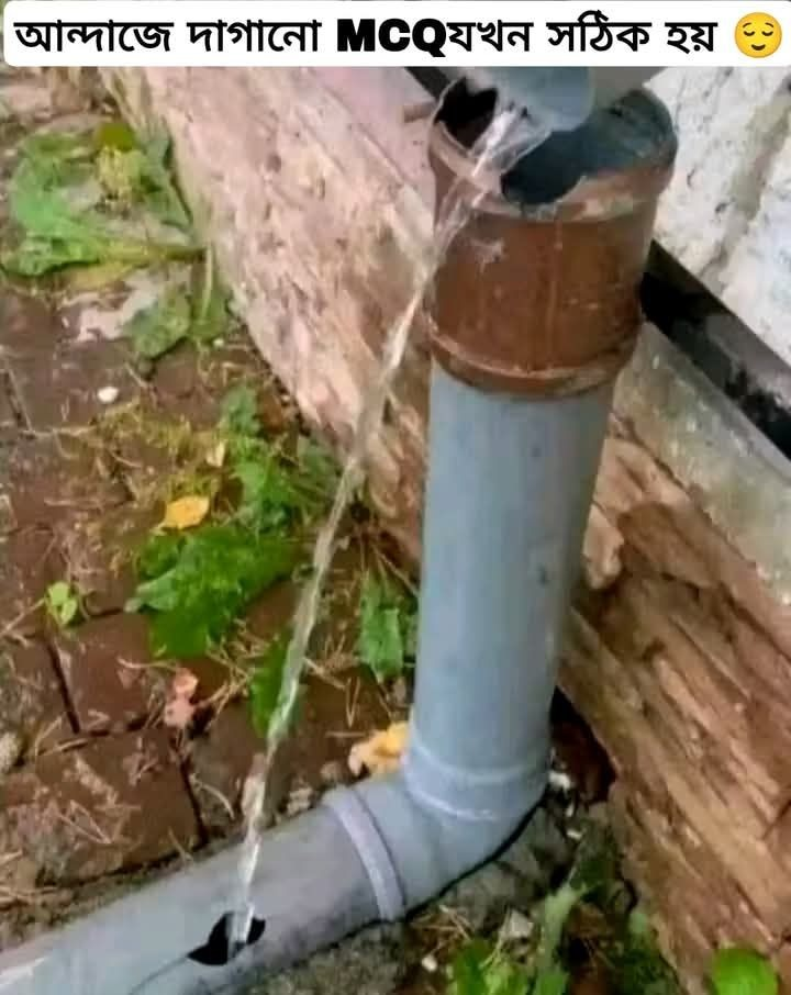 আন্দাজে করা সঠিক উত্তরের ফল।