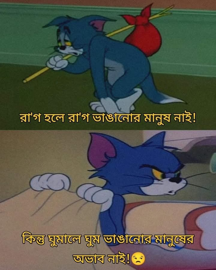 রাগ ভাঙানোর মানুষ নাই।