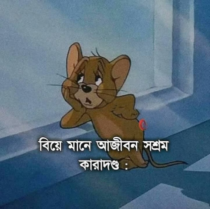 বিয়ে মানে?