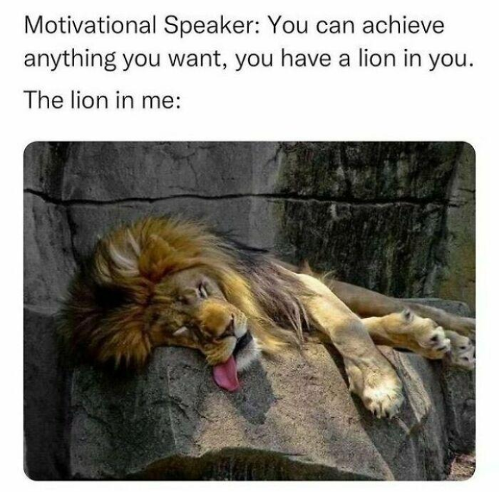The Lion?