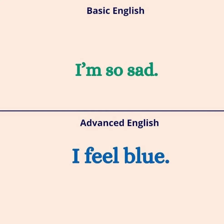 Basic and the advance one.
