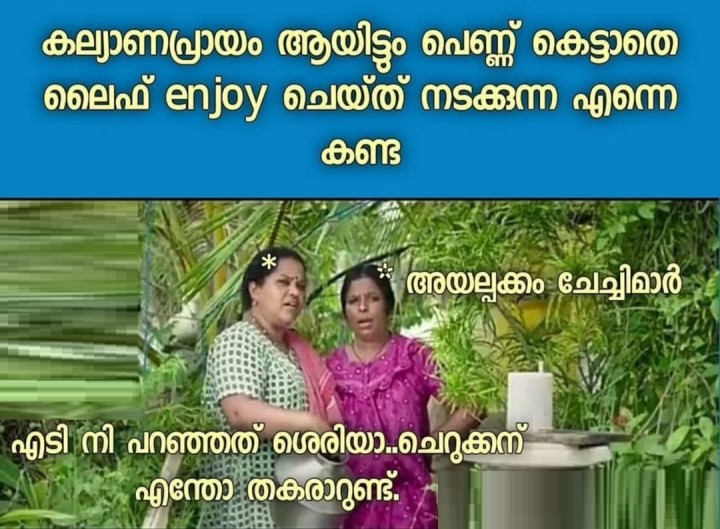 ''പെണ്ണ് കിട്ടാത്തത് കൊണ്ടല്ലെടാ''ഈ കമെന്റ് നിരോധിച്ചിരിക്കുന്നു..
