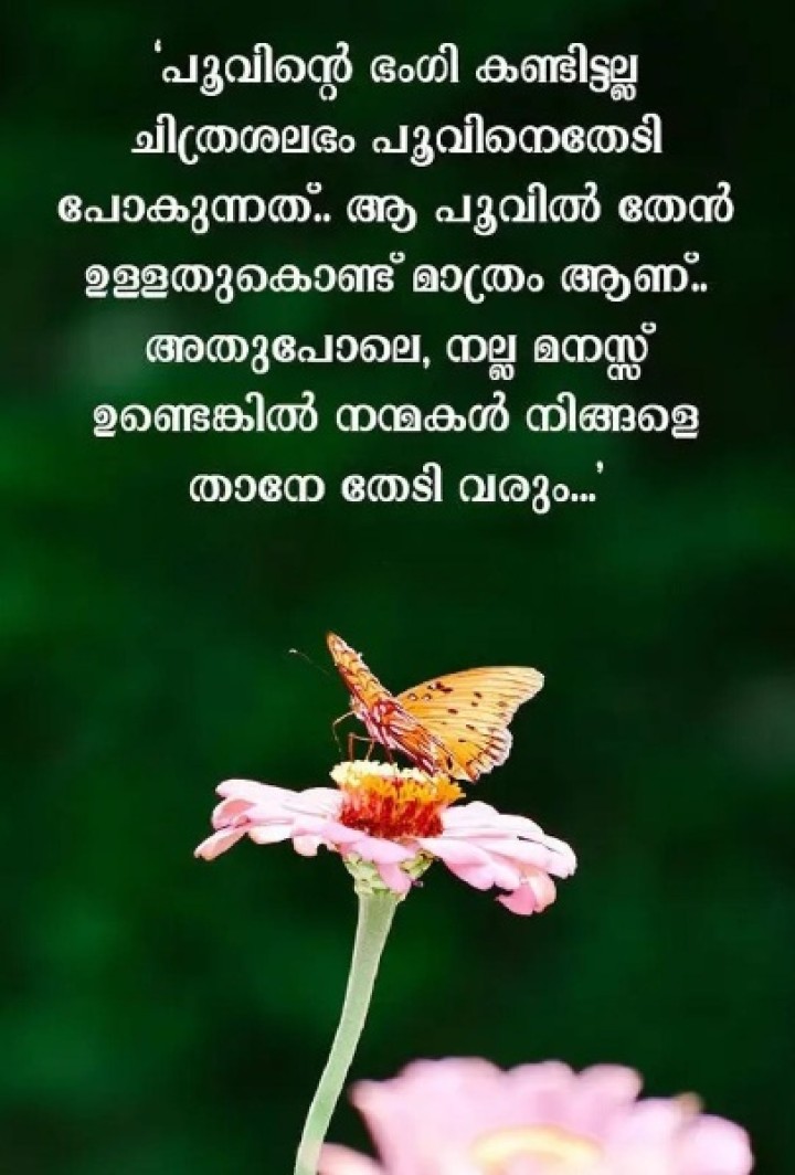 മനസ്സിൽ നന്മയുണ്ടാകട്ടെ