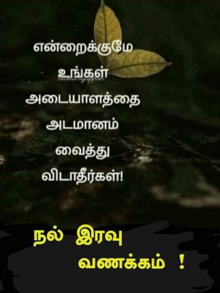 குட்டி இரவில் செல்ல தூக்கத்தில் சின்ன கனவு காணும் செல்ல இதயத்திற்கு சின்ன மனசு சொல்லும் இரவு வணக்கும்.