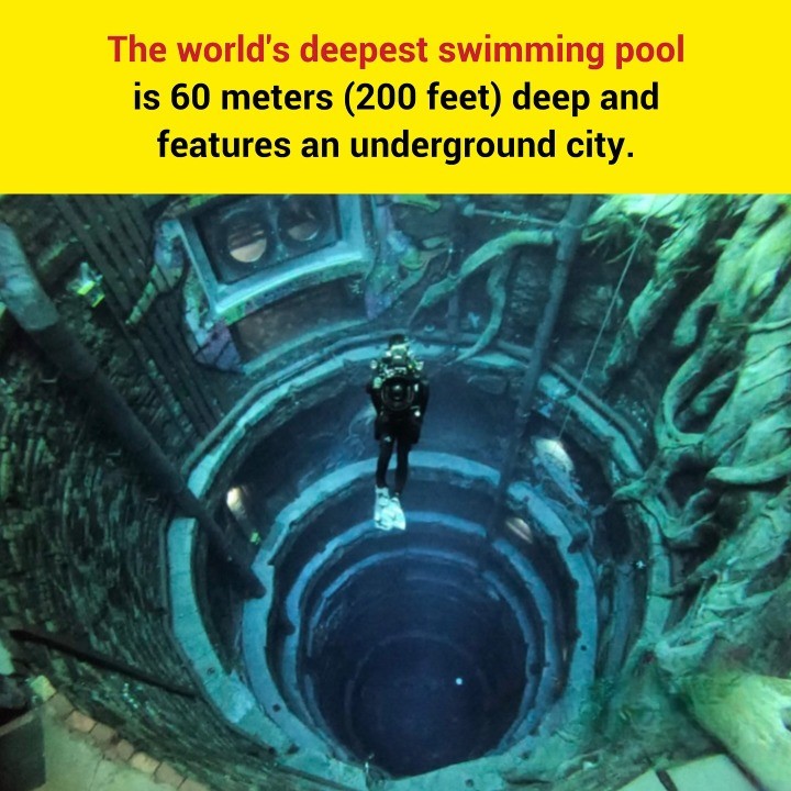 Deep Dive Dubai is the world’s deepest swimming pool, reaching a record-breaking depth of 60.02 meters (about 200 feet).