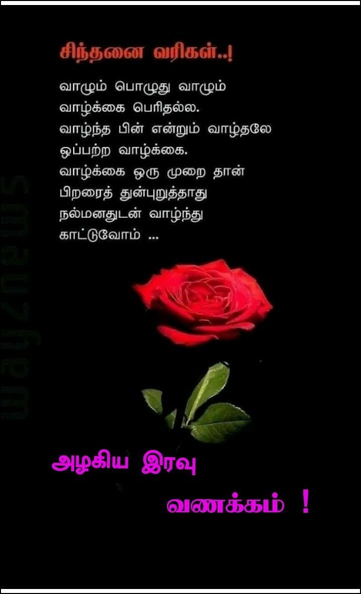 இனிய கனவுகள் காணுங்கள்!