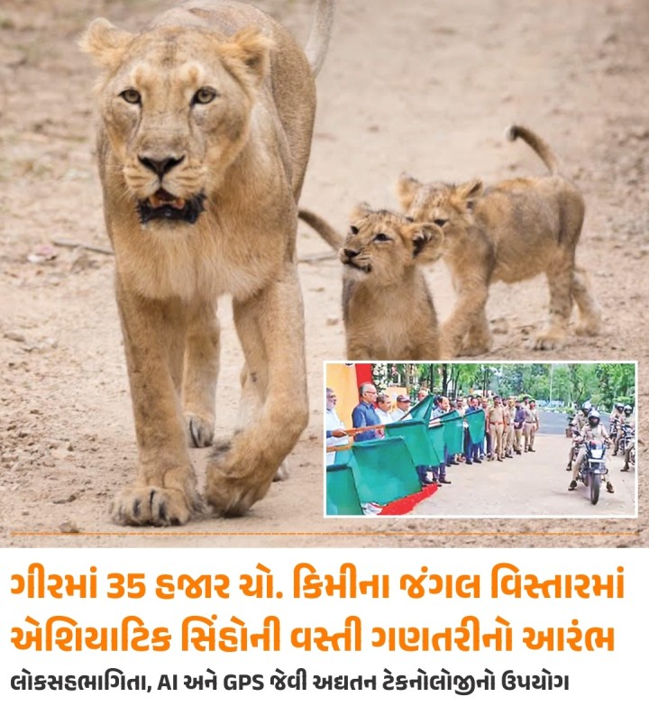 જૂનાગઢના સાસણ ગીરમાં એશિયાટિક સિંહોની વસ્તી ગણતરીનો 16મો તબક્કો શરૂ થઈ ગયો છે. વનમંત્રી મુળુભાઈ બેરાએ માહિતી આપતા જણાવ્યું કે, 10 મેના બપોરે 2 વાગ્યાથી 11 મે સુધી સીધી દૃશ્યાવલોકન પદ્ધતિથી પ્રાથમિક ગણતરી થશે, ત્યારબાદ 12 અને 13 મેના રોજ અંતિમ ગણતરી હાથ ધરવામાં આવશે.