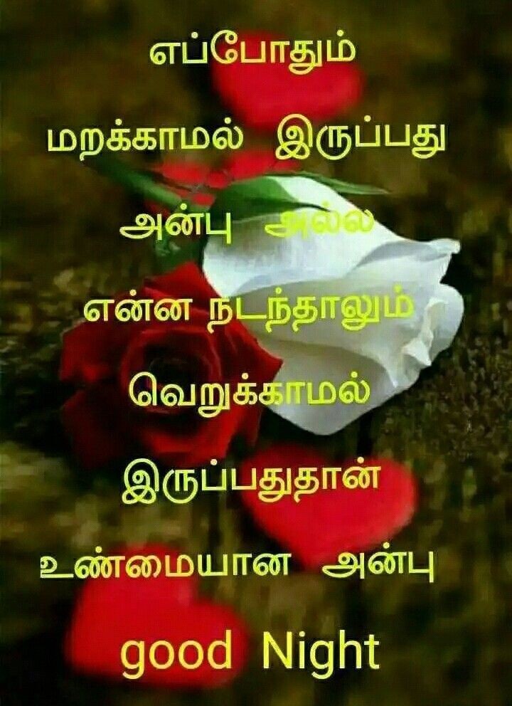 இனிய இரவு!