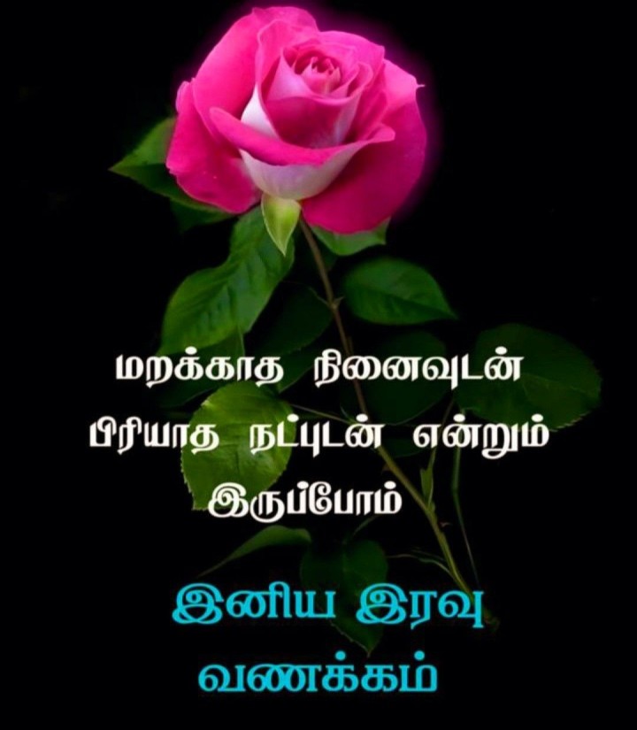 இனிய இரவு வாழ்த்துக்கள்!