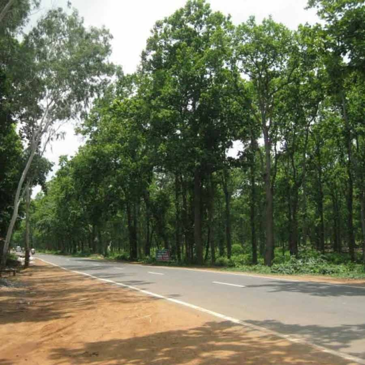 তপ্ত বৈশাখে চলুন অরণ্যভূমে।দিন দুই বা তিনেকের ছুটিতে চলুন জয়পুর। চমকাবেন না, রাজস্থান নয়, বরং গাড়িতে কলকাতা থেকে ঘণ্টা চারেকেই পৌঁছোনো যায় সেখানে।