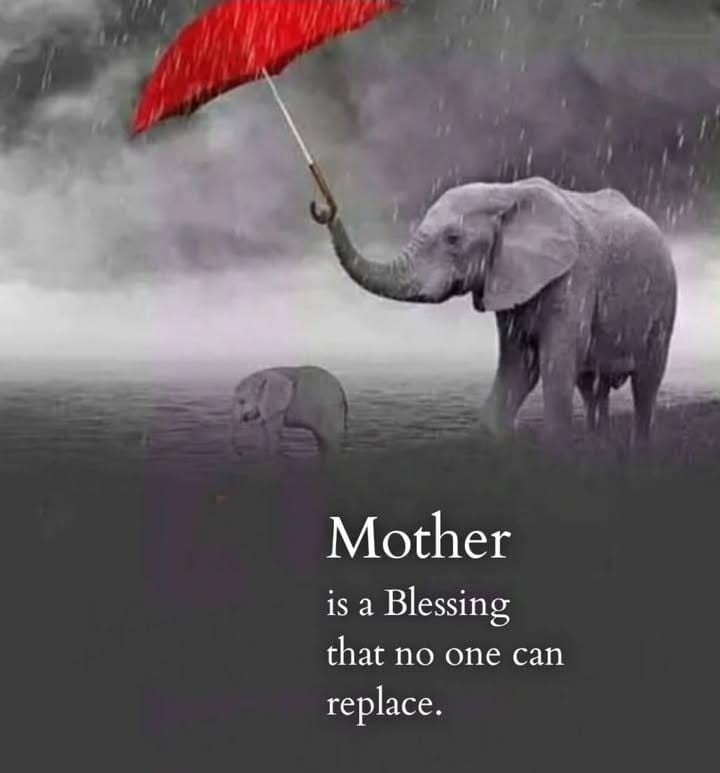 Mother