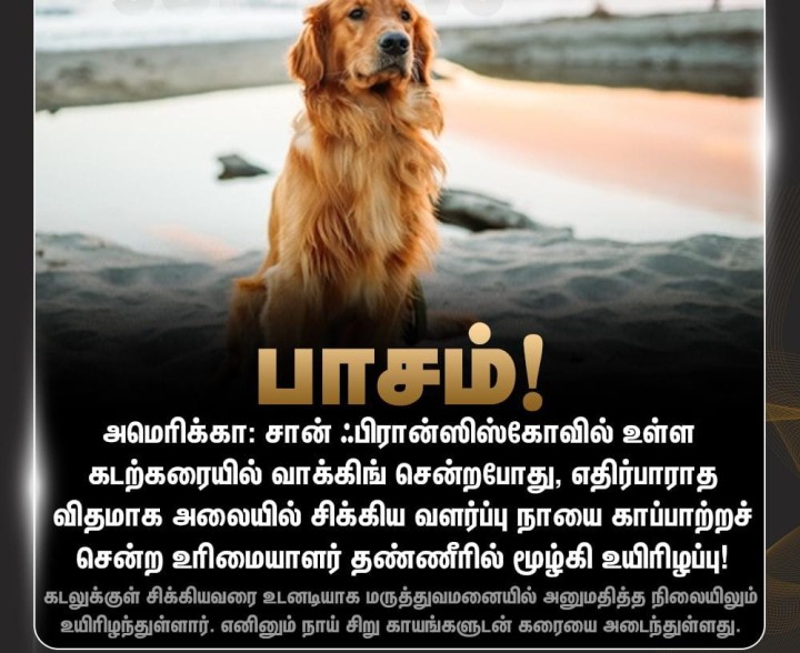பாசம்